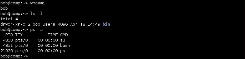 bash